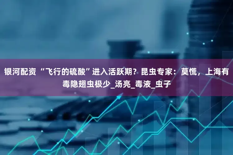 银河配资 “飞行的硫酸”进入活跃期？昆虫专家：莫慌，上海有毒隐翅虫极少_汤亮_毒液_虫子