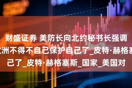 财盛证券 美防长向北约秘书长强调5点，以后的欧洲不得不自己保护自己了_皮特·赫格塞斯_国家_美国对