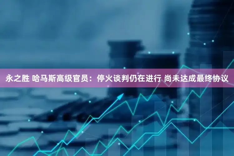 永之胜 哈马斯高级官员：停火谈判仍在进行 尚未达成最终协议