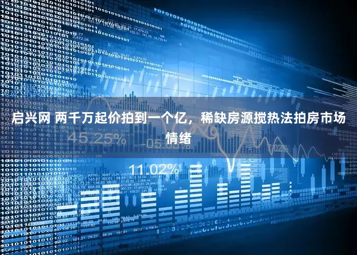启兴网 两千万起价拍到一个亿，稀缺房源搅热法拍房市场情绪