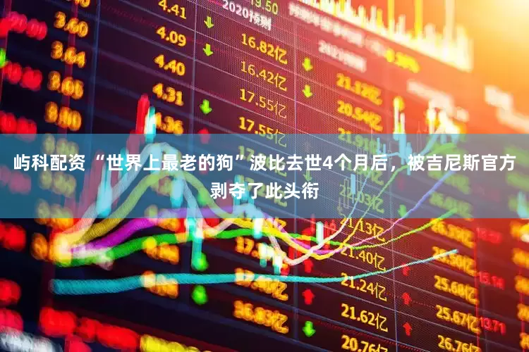 屿科配资 “世界上最老的狗”波比去世4个月后，被吉尼斯官方剥夺了此头衔